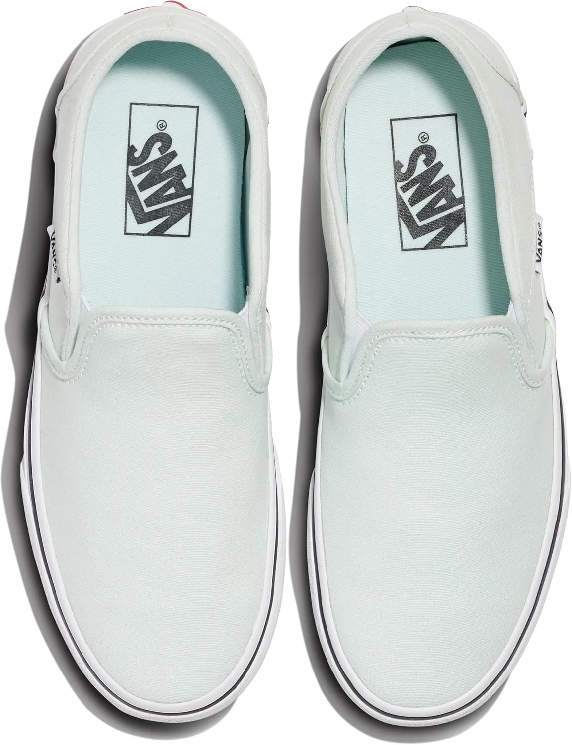 Vans Women's Asher Slip-On Shoe